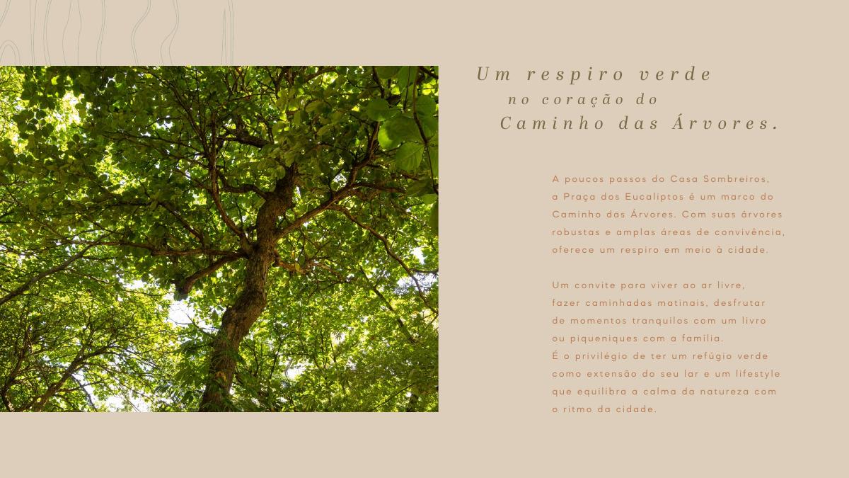 Galeria de Oportunidade no Caminho das Árvores